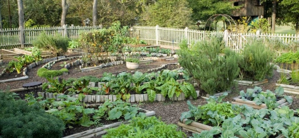 Article : Engrais frelatés la vérité sur un scandale à 60 milliards