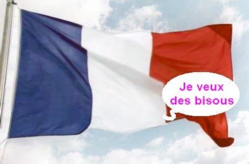 Article : Les Maliens n’aiment pas la France, mais aiment ses milliards