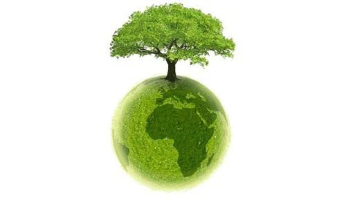 Article : Mali, ce pays qui ignore que sans plante, il n’y a de vie sur terre